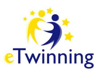 E -twinning
