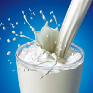 Svetový deň mlieka 