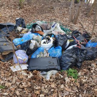zdjęcie przedstawia śmieci zebrane w worki