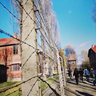 Auschwitz - Birkenau 