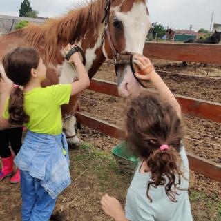 Výlet detí z ŠKD na malej Retro farme v Brestovanoch