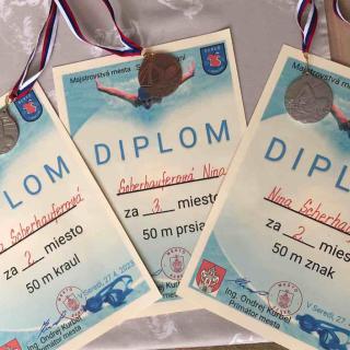 Majstrovstvá mesta v plávaní 