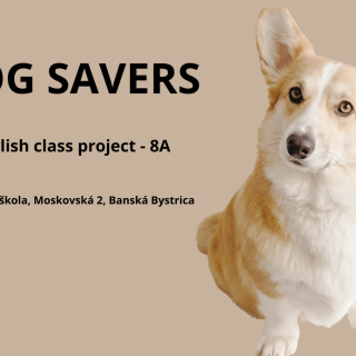 Dog Savers alebo projektové vyučovanie na hodinách angličtiny