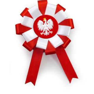 „Jeszcze Polska nie zginęła!”