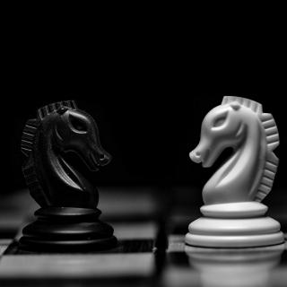 szachy dwa króle