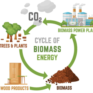 Exkurzia v elektrárni na biomasu