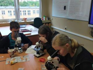 Mikroskop na lekcjach biologii 