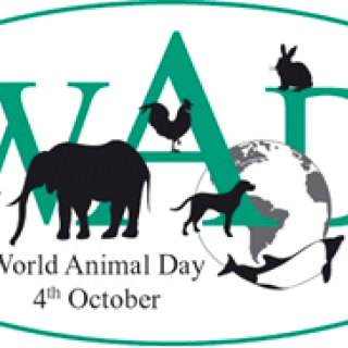 4. október - Svetový deň zvierat - World Animal Day (WAD)