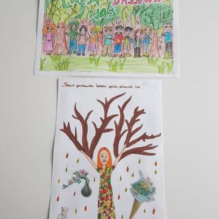 Wyniki konkursu - "Łaczą nas drzewa"