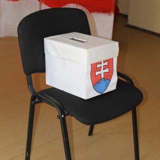 Simulované parlamentné voľby