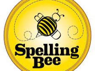 Spelling Bee - The School Round for Older Pupils